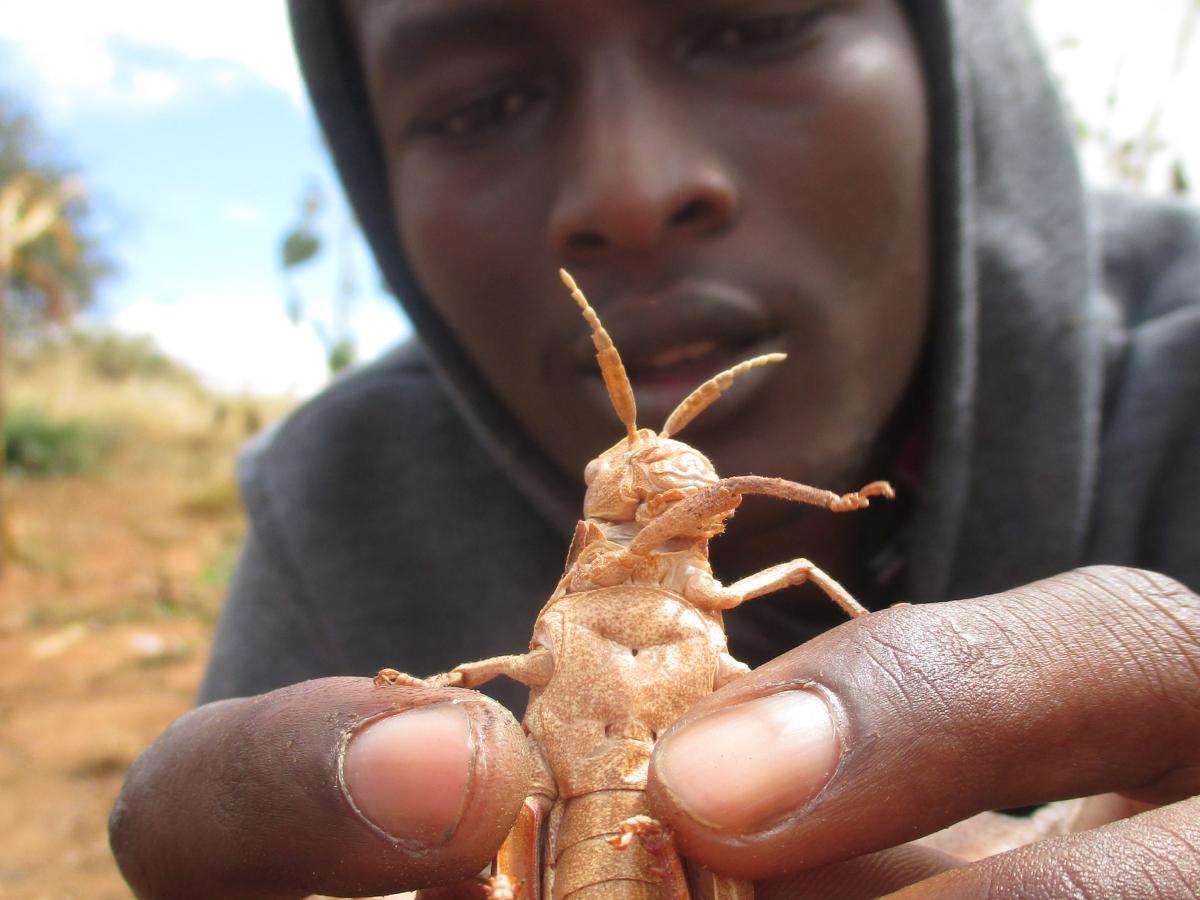 Wildlife in Dodoma – EASTERaction