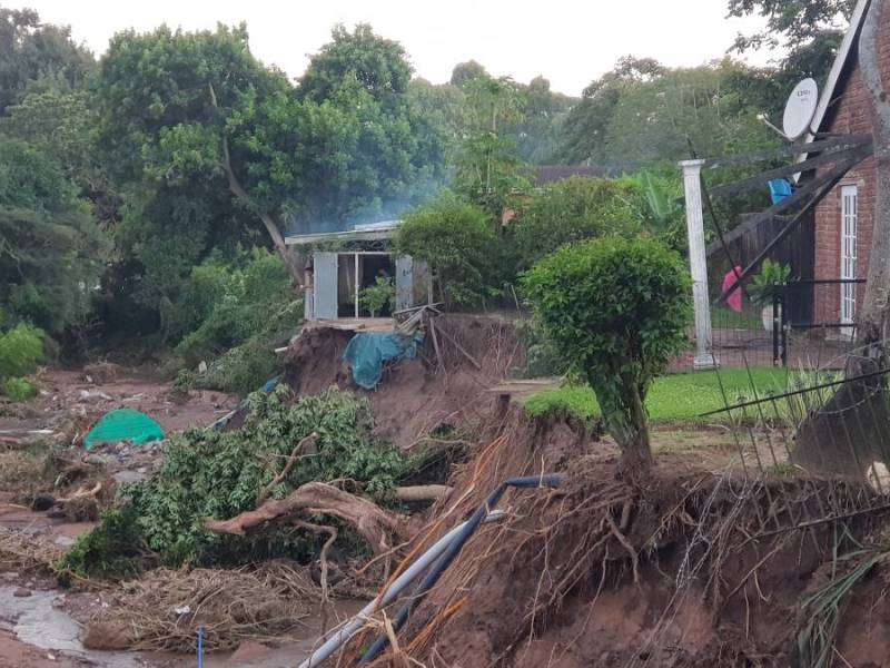 World Environment Day 2022