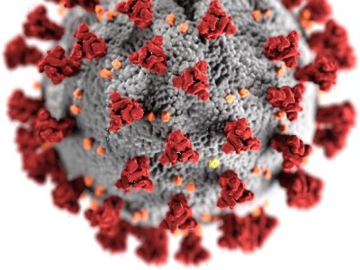 Born into a pandemic