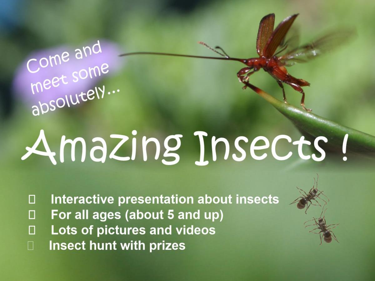 Homeschoolers in Paradise