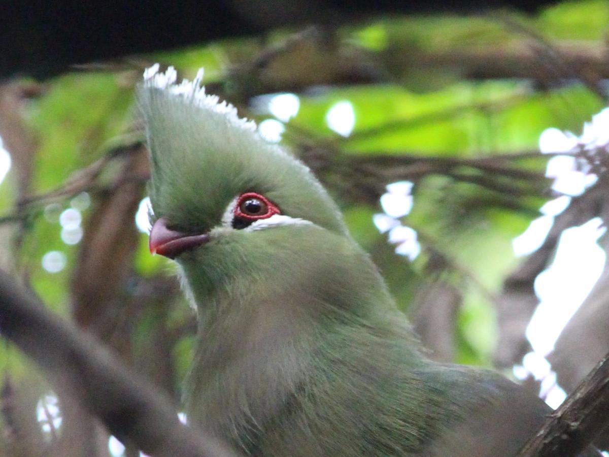 Earth Day? We need Earth Years!