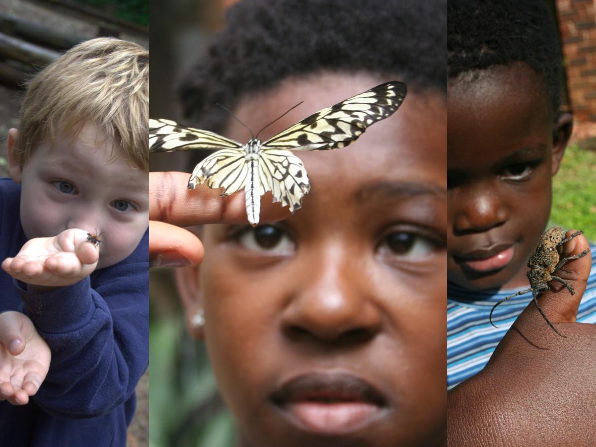 It is called ‘Biophilia’