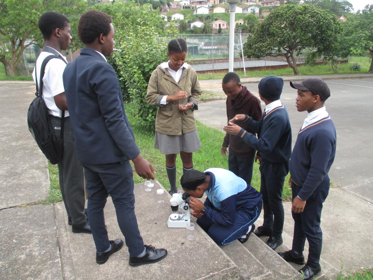 Biodiversity in the school yard