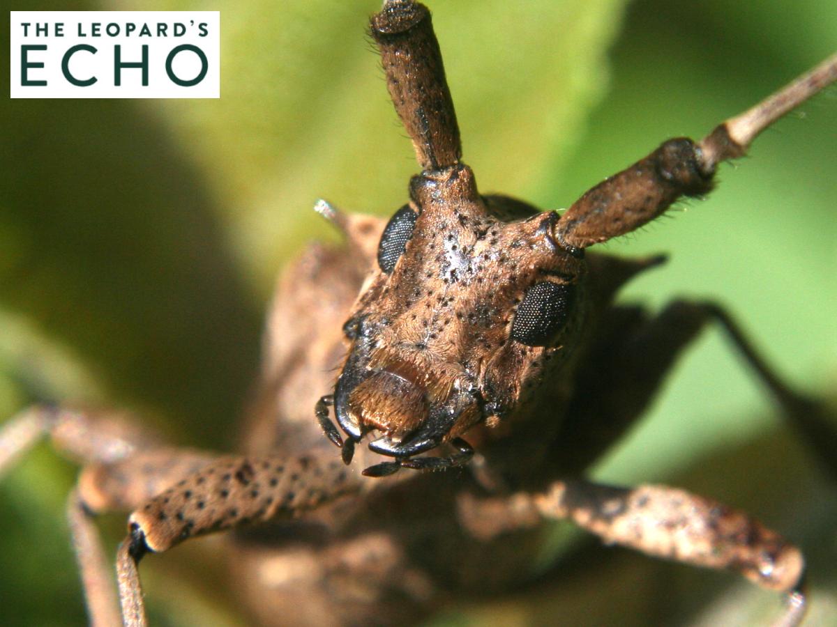 Five senses and then some!