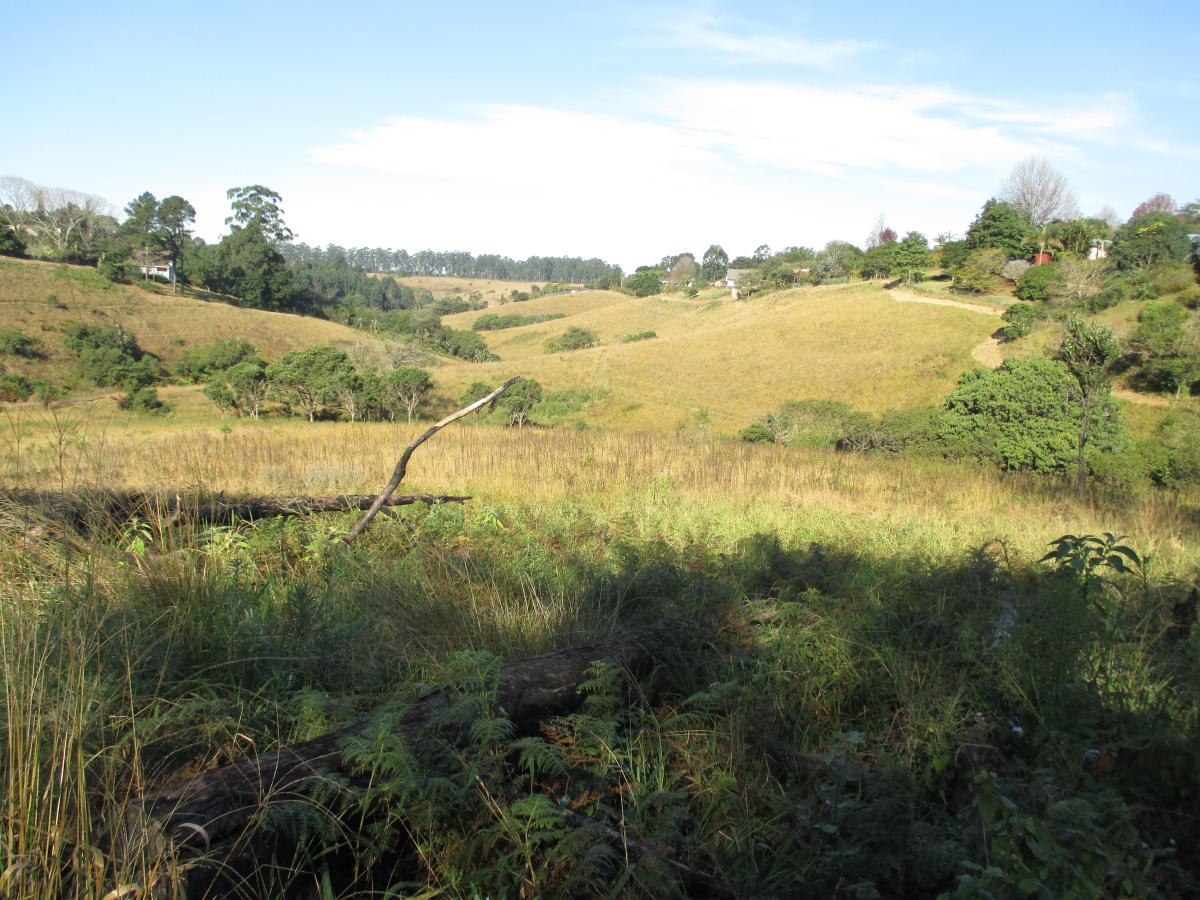 Local Stalwarts of Conservation