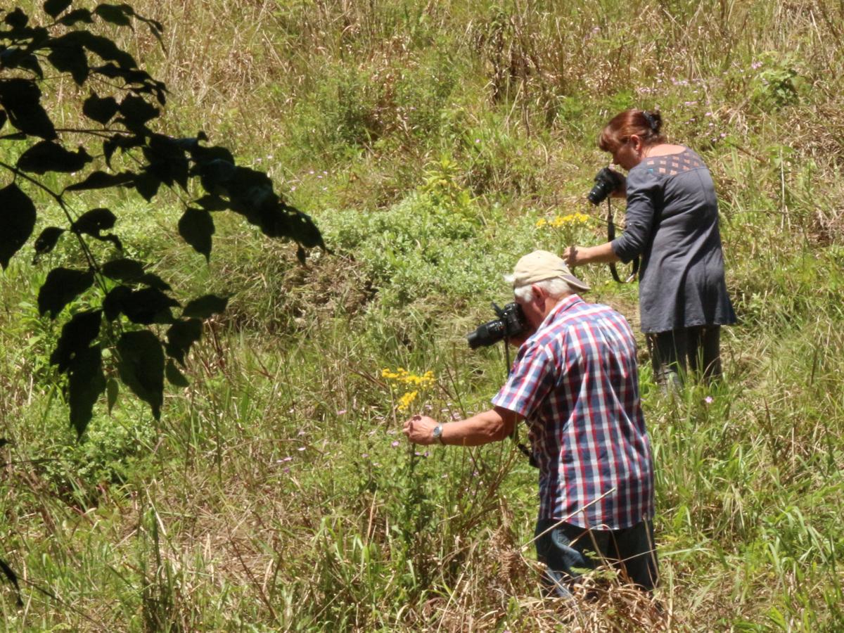 Insect photography 2 – Shoot ’em Live